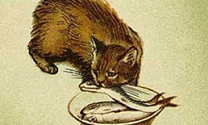 Кот-ворюга - Паустовкий, картинка