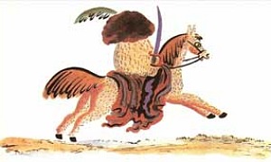 Война грибов с ягодами - Даль В.И., картинка