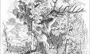 Олень и виноградник - басня Льва Толстого