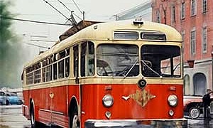 Грач в троллейбусе - Паустовский, картинка