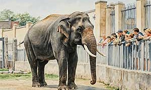 Слон и радио - Драгунский