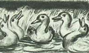 Утка и месяц (Сказка Толстого Л.Н.), картинка