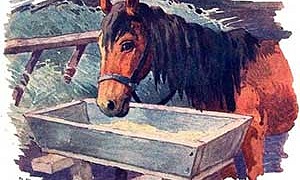 Мужик и лошадь - басня Льва Толстого