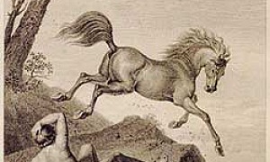 Конь и всадник - Басня Крылова