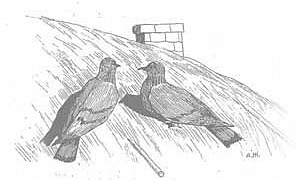 Два Голубя - Басня Крылова