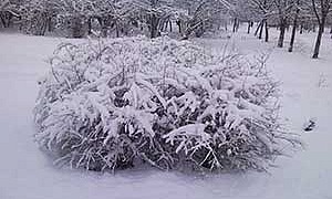 Зима - Ушинский К.Д.