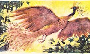 Сказка об Иване-царевиче и Сером Волке (Сказка Жуковского В.А.), картинка