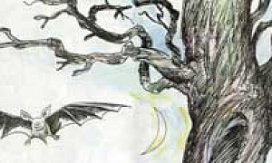 Летучая мышь (Сказка Толстого Л.Н.), картинка