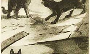 Королевская аналостанка - Сетон-Томпсон, картинка