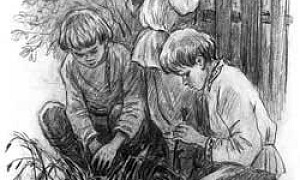 Грядки гвоздики - Ушинский К.Д.