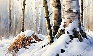 Муравьи - Пришвин