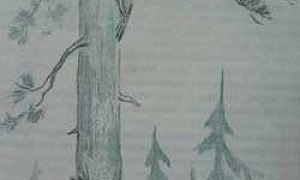 Дятел - Ушинский К.Д.