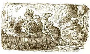 Суп из колбасной палочки (Сказка Андерсена), картинка