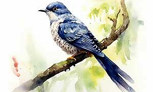 Кокушка - Басня Сумарокова