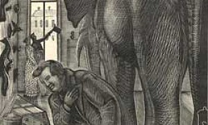 Любопытный - Басня Крылова