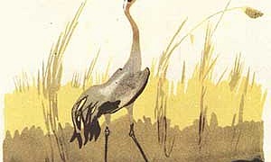 Журка - Пришвин