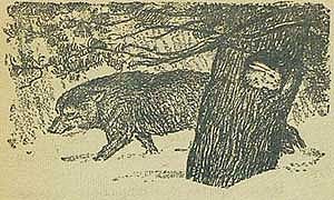 Заяц (Сказка Толстого А.Н.), картинка