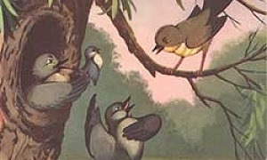 Кукушка и скворец - Басня Михалкова