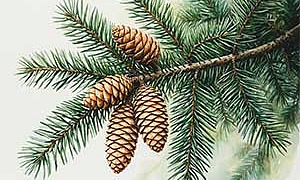 Заколдованная буква - Драгунский