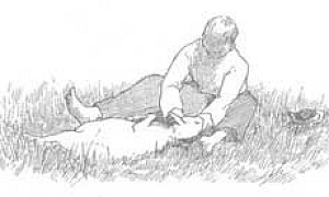 Пастух - Басня Крылова