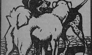 Постойко (Сказка Мамина-Сибиряка Д.Н.), картинка