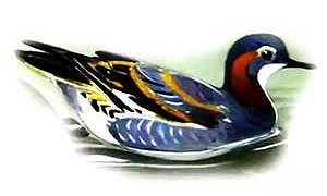 Плавунчик (Сказка Бианки В.В.), картинка