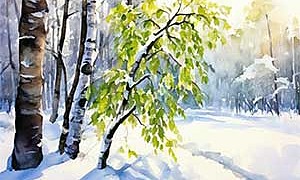 Деревья в плену - Пришвин