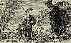 Ленька с Малого озера - Паустовский, картинка