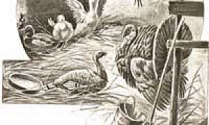 Умнее всех (Сказка Мамина-Сибиряка), картинка