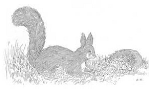 Белка - Басня Крылова