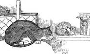 Хозяин и мыши - Басня Крылова