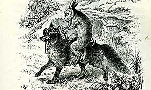 Сказка про лошадь Братца Кролика, картинка