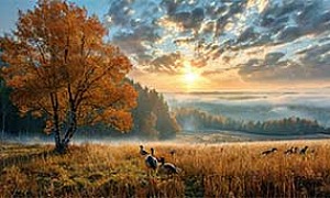 Уж небо осенью дышало - Пушкин