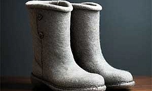 Дедушкин валенок - Пришвин