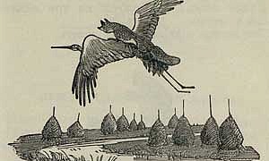 Как лиса училась летать - Толстой А.Н., картинка