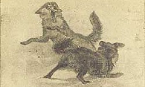 Бинго - Сетон-Томпсон, картинка