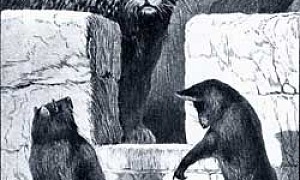 Пир - Басня Крылова