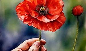 Красный цветок Красный цветок - Гаршин