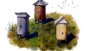 Пчёлки на разведках - Ушинский К.Д.