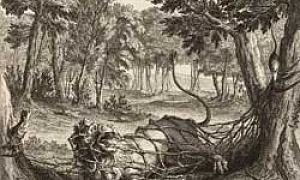 Лев и Мышь - Басня Крылова