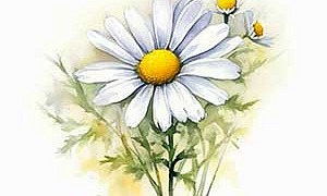 Матрешка в картошке - Пришвин