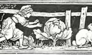 Заячья невеста - Гримм, картинка