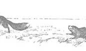 Лисица и Сурок - Басня Крылова