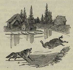 Глупый волк - Толстой А.Н., рис.2
