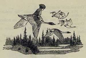 Гуси - лебеди - Толстой А.Н., картинка