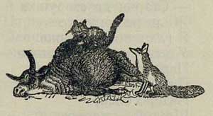 Кот и лиса - Толстой А.Н., рис.4