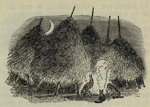 Кот - серый лоб, козел да баран - Толстой А.Н., рис.2