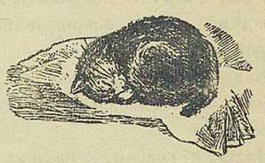 Кот Васька - Толстой А.Н., рис.2