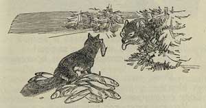 Лиса и волк - Толстой А.Н., рис.2