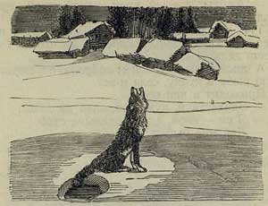 Лиса и волк - Толстой А.Н., рис.3